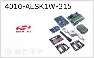 4010-AESK1W-315