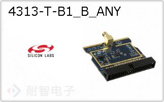 4313-T-B1_B_ANY