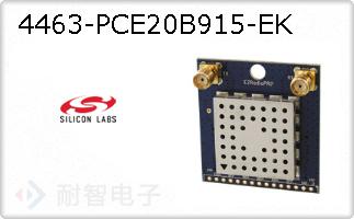 4463-PCE20B915-EKͼƬ