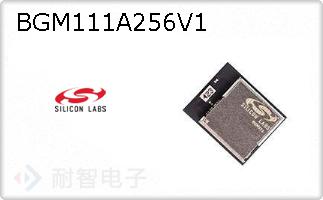 BGM111A256V1