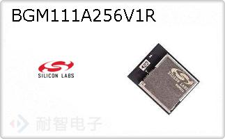 BGM111A256V1R