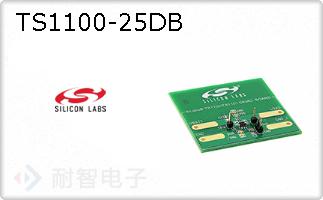 TS1100-25DB