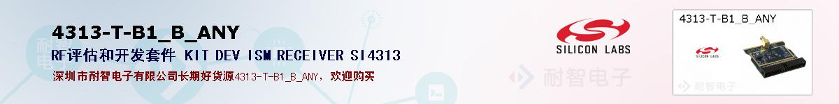 4313-T-B1_B_ANYıۺͼ
