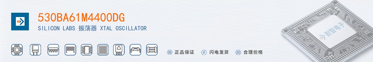 530BA61M4400DG������