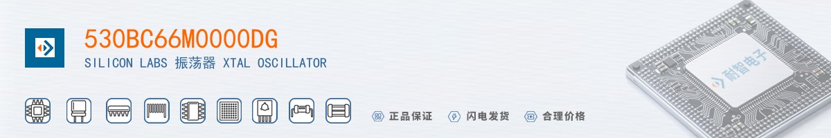 530BC66M0000DG������