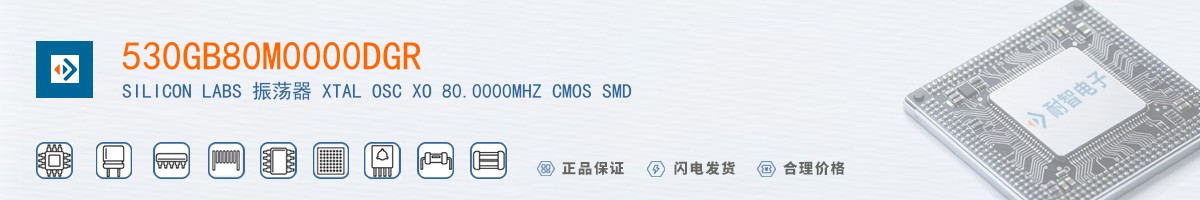 530GB80M0000DGR������