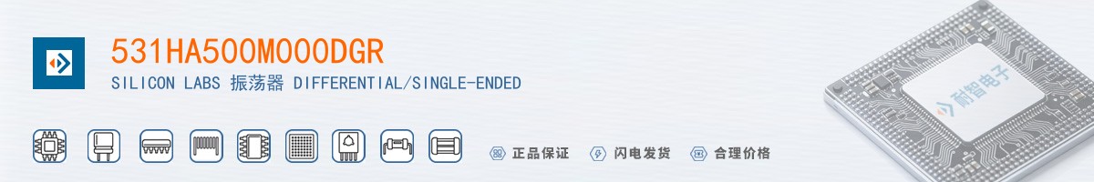 531HA500M000DGR������