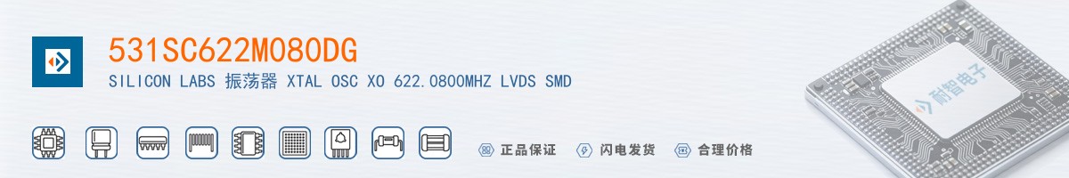 531SC622M080DG������