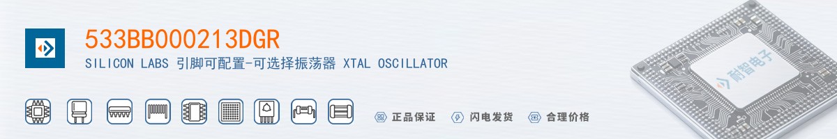 533BB000213DGR������