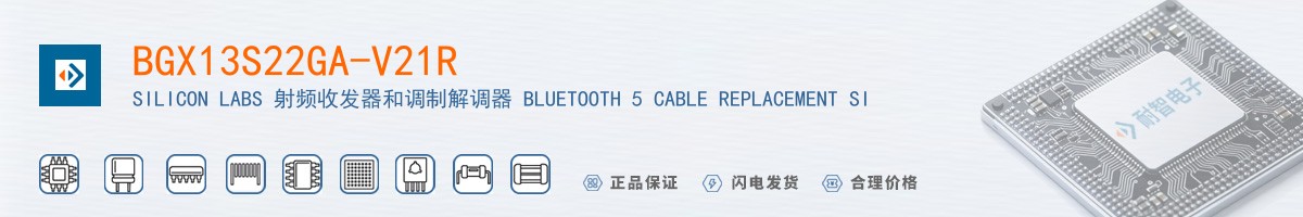 BGX13S22GA-V21R������