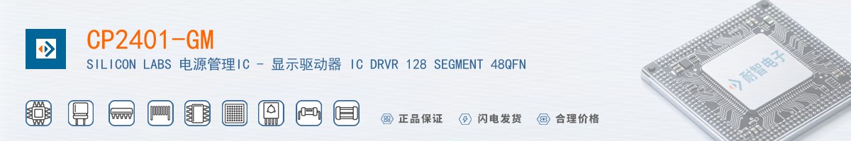 CP2401-GM������