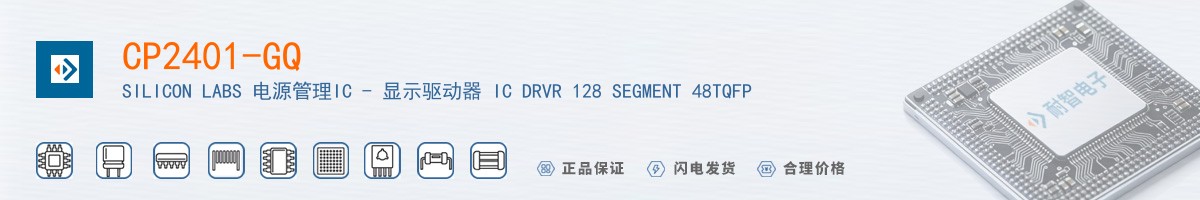 CP2401-GQ������