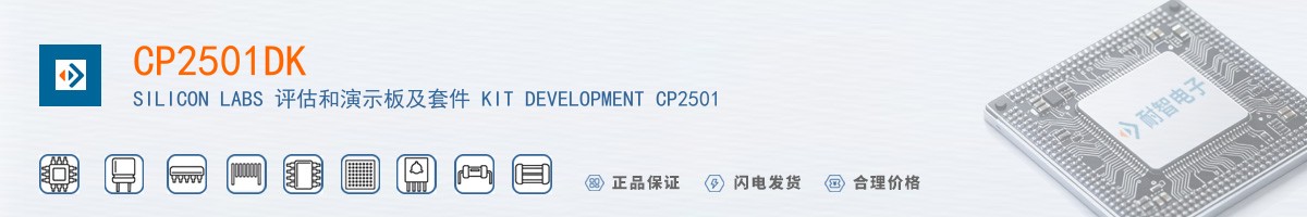 CP2501DK������