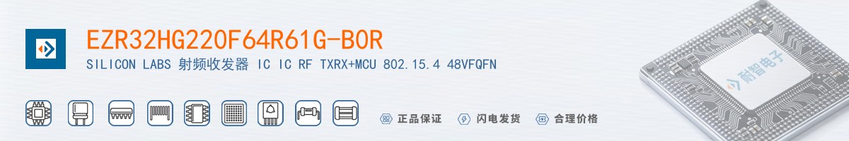 EZR32HG220F64R61G-B0R������