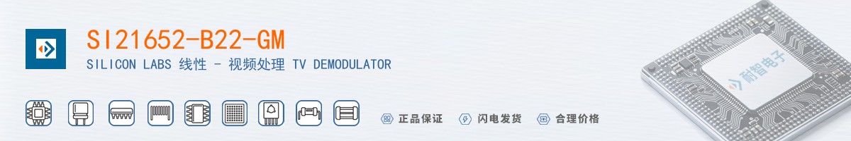 SI21652-B22-GM������