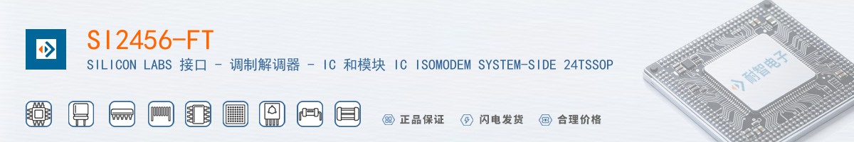 SI2456-FT������