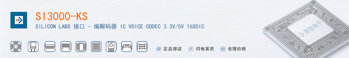 SI3000-KS������