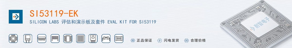 SI53119-EK������