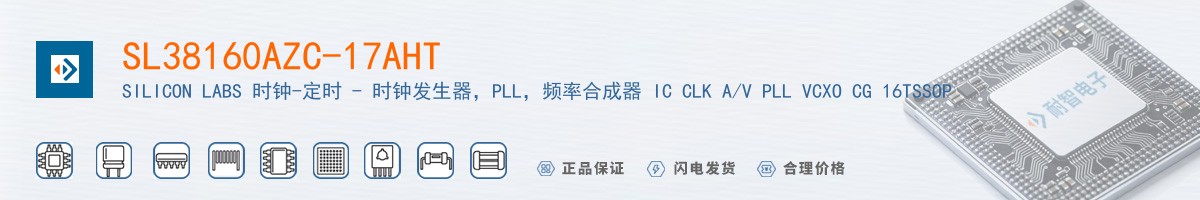 SL38160AZC-17AHT������