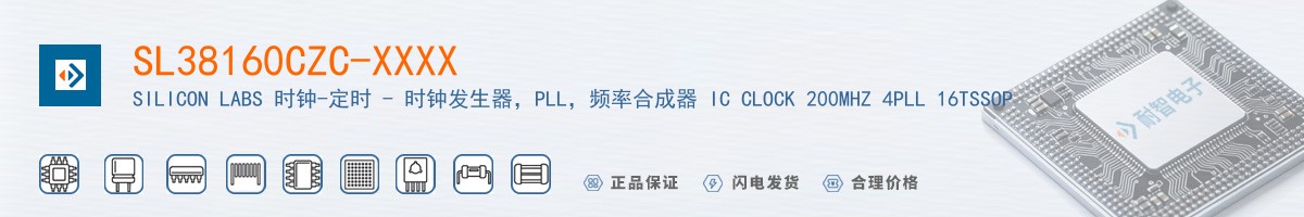 SL38160CZC-XXXX������