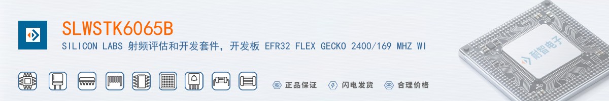 SLWSTK6065B������