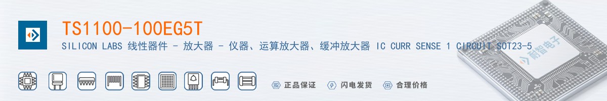 TS1100-100EG5T������