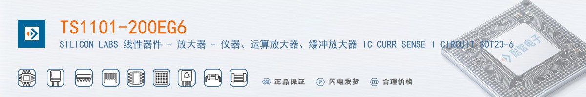 TS1101-200EG6������