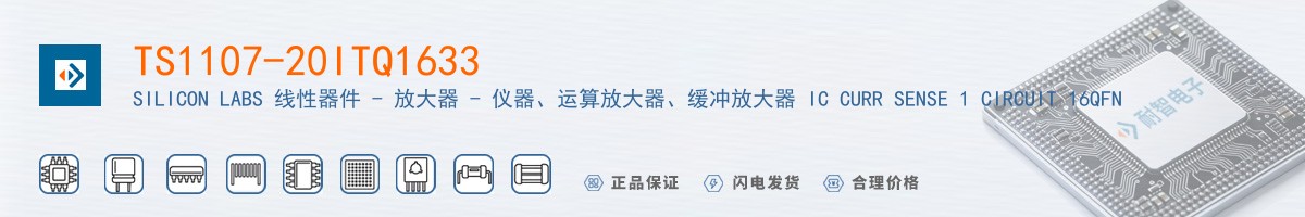 TS1107-20ITQ1633������