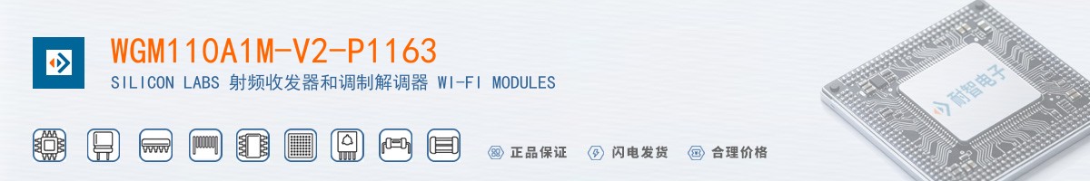 WGM110A1M-V2-P1163������