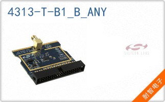4313-T-B1_B_ANY