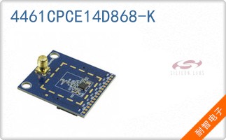 4461CPCE14D868-K