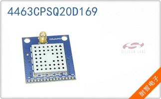 4463CPSQ20D169