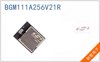 BGM111A256V21R
