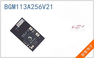 BGM113A256V21