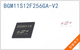 BGM11S12F256GA-V2