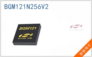 BGM121N256V2