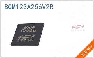 BGM123A256V2R