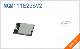 MGM111E256V2