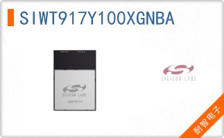 SIWT917Y100XGNBA