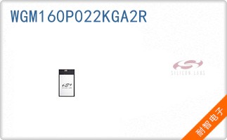 WGM160P022KGA2R