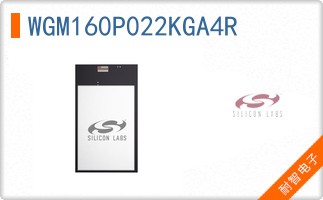 WGM160P022KGA4R